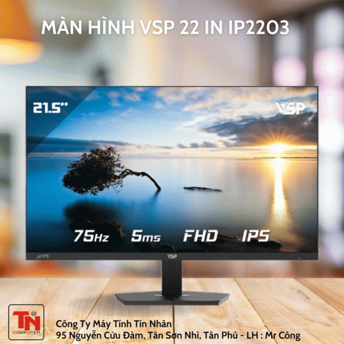 Màn hình LCD VSP 22" ( IP2203 )